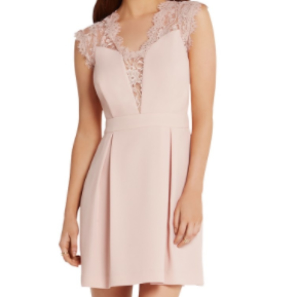 Rose Cocktail dress